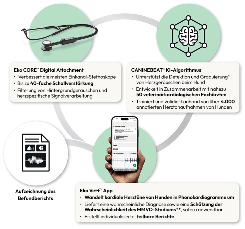 Schaubild zur dreiteiligen Lösung (EKCBAI)