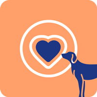 Die hearts2hearts App hilft Hundebesitzern die Herzgeräusche ihres Hundes zu kontrollieren. 