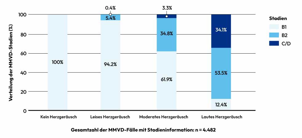 Zusammenhang zwischen Herzgeräuschgrad und Krankheitsstadium (MMVD)