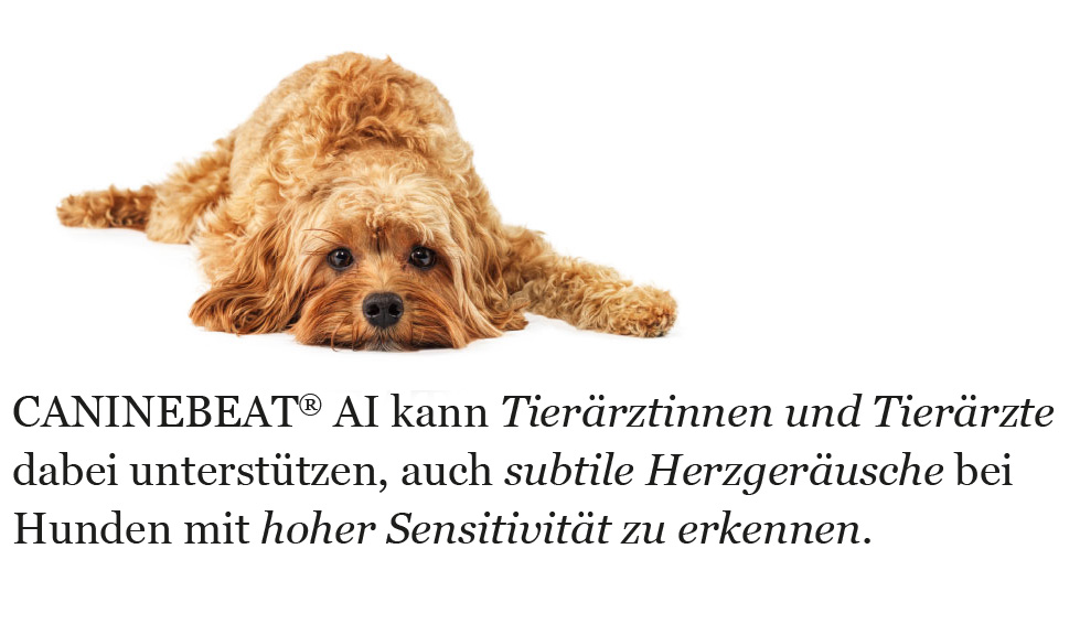 CANINEBEAT AI unterstützt Tierärzte bei der Erkennung von Herzgeräuschen beim Hund. 