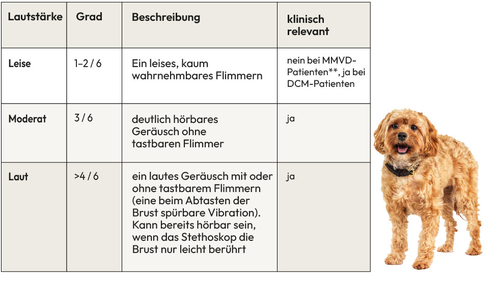 Infografik: Bewertungstabelle bei Herzgeräuschen beim Hund
