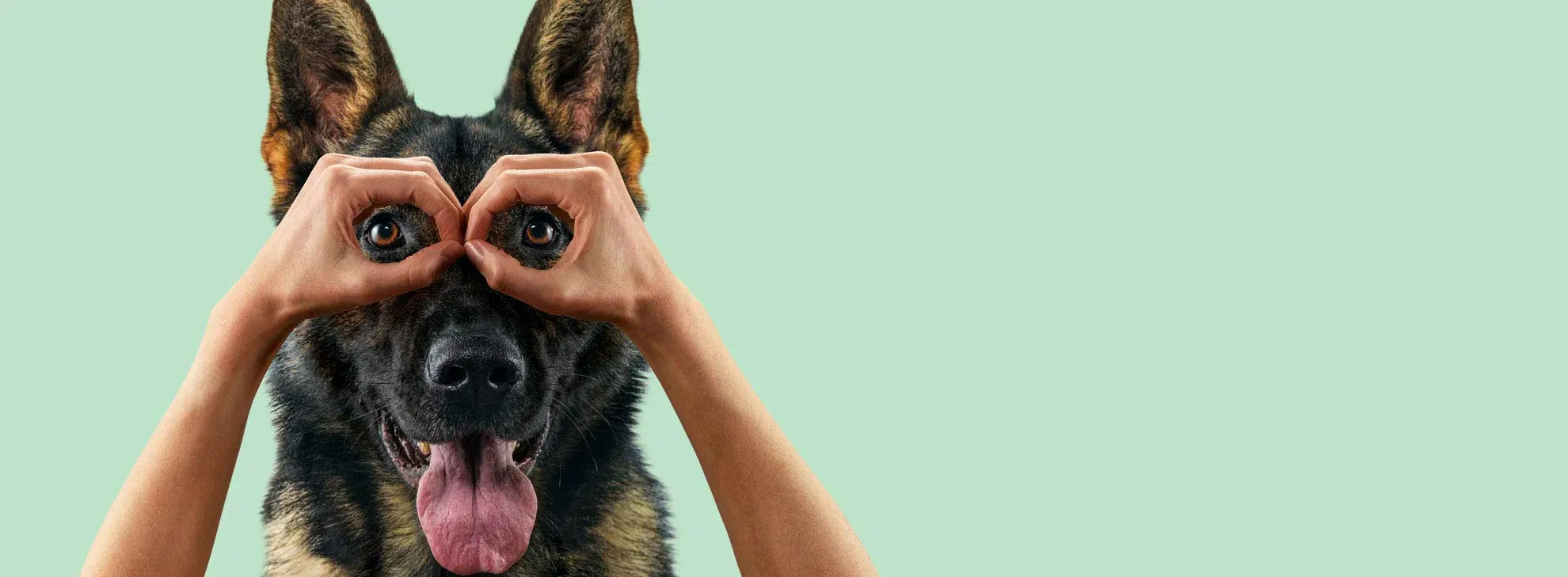 Mensch macht mit Händen eine Brille vor Hundeaugen. Mit caninebeat auch subtile Herzgeräusche erkennen.